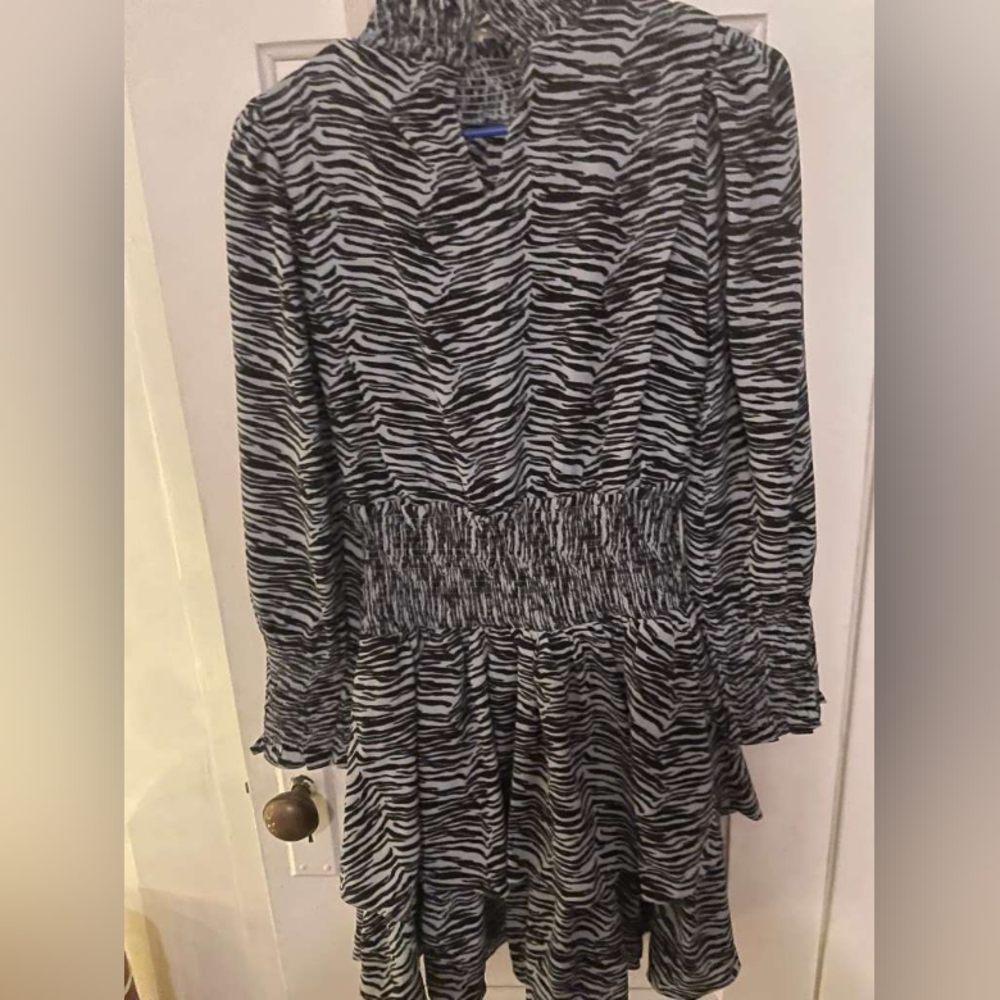 Chic Zebra Patterned Mini Dress - image 1